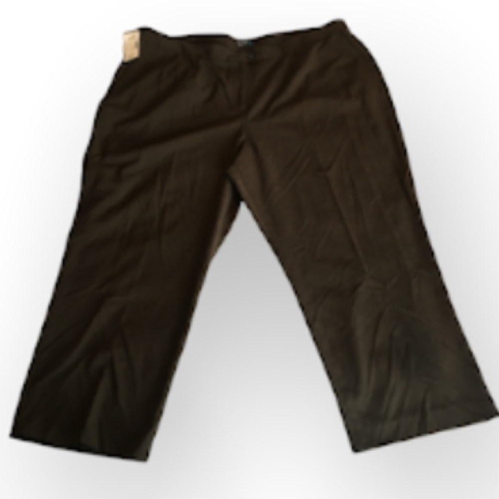 Sale! NWT! Petite Maggie Barnes brown pants 24WP